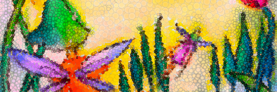 SharryCee's profile banner image