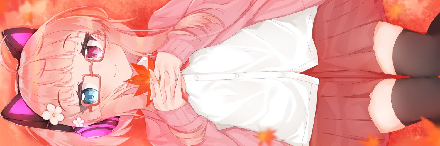 a2k0i's profile banner image