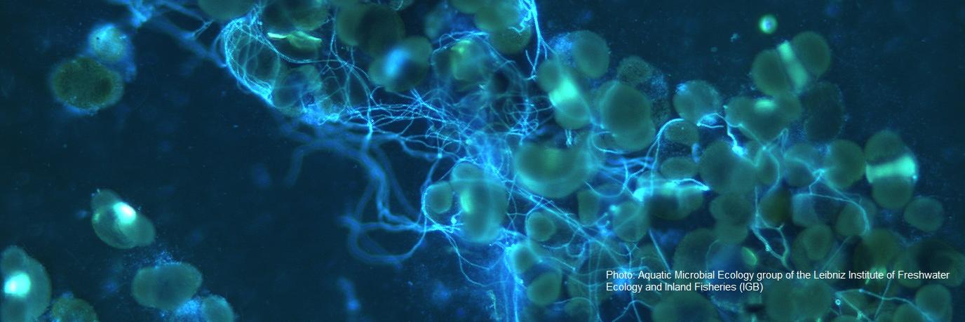 FunAqua Project banner