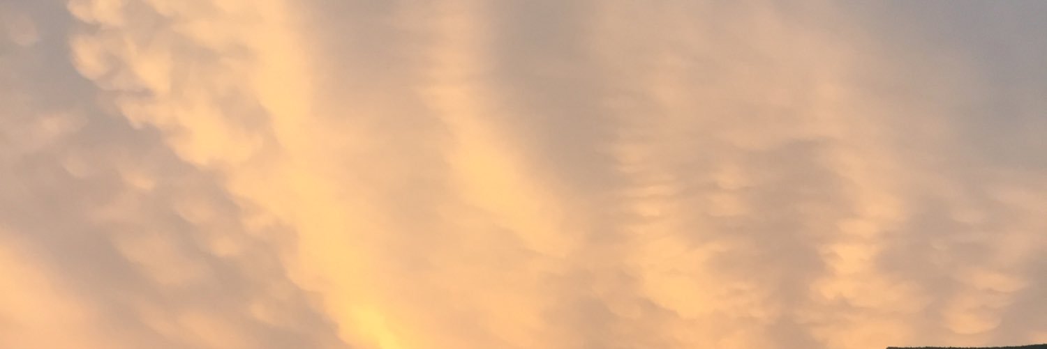 ceciliah95's profile banner image