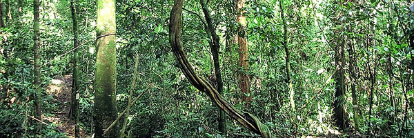 EcosystemMgtETH Profile Banner