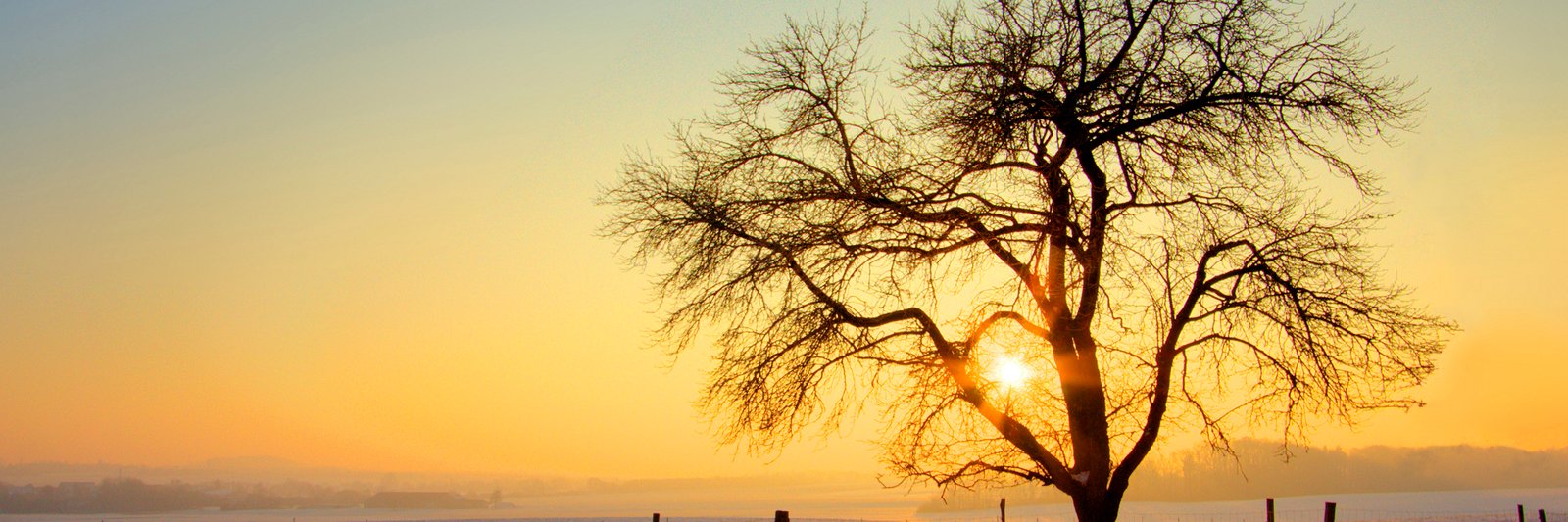 Samantha Saunders banner
