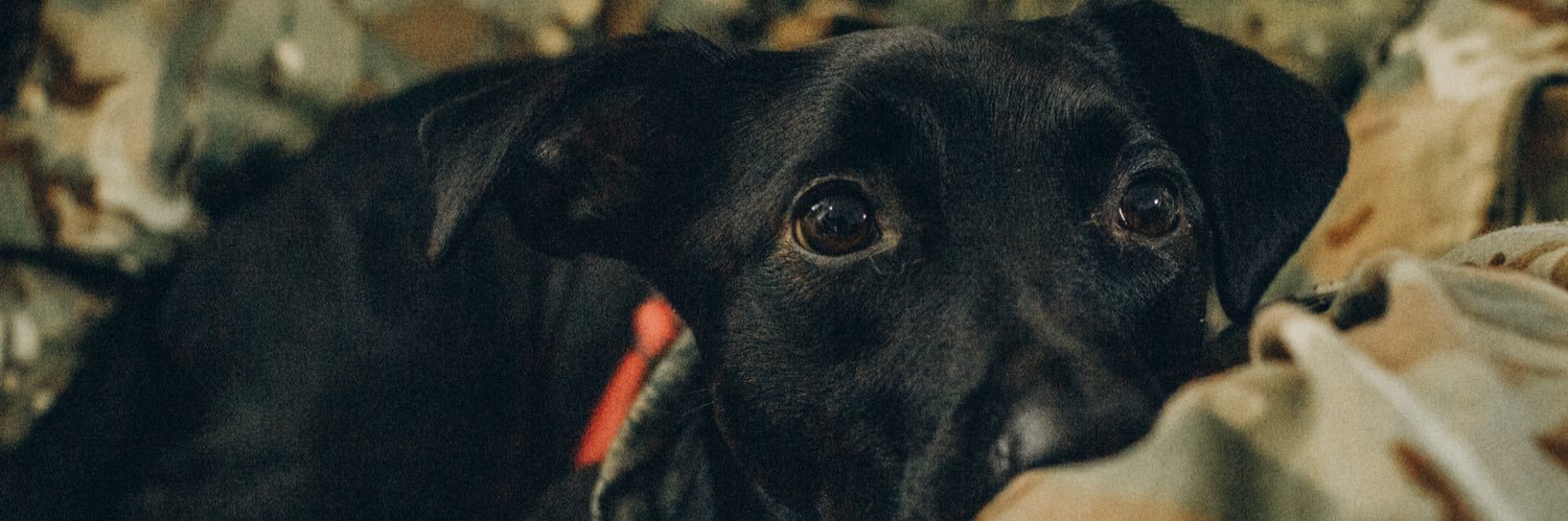 Eykhmann's profile banner image