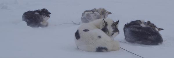 torleifjonasson Profile Banner