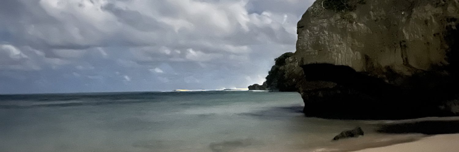 helloitsmeich_'s profile banner image