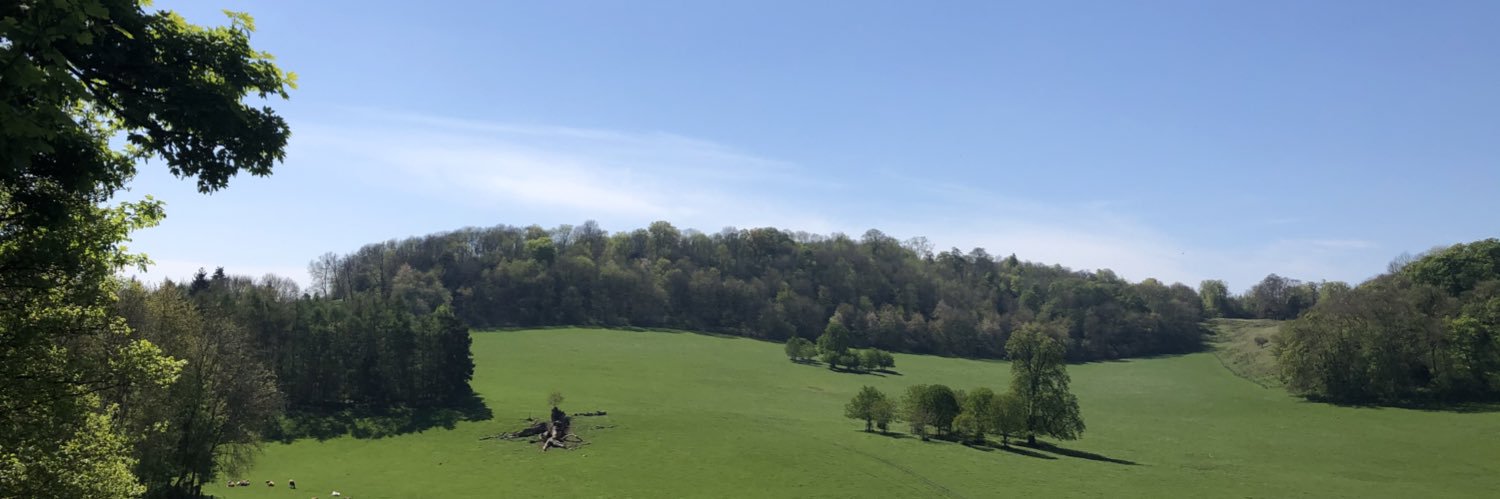 Surrey Educational Psychology banner