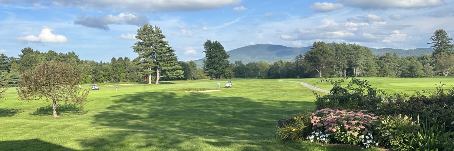 DLH Technology Advisors banner