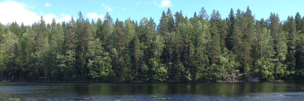 Heidi Hiltunen banner