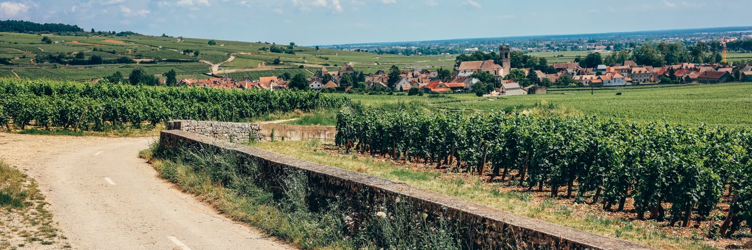 FrenchWineTutor banner