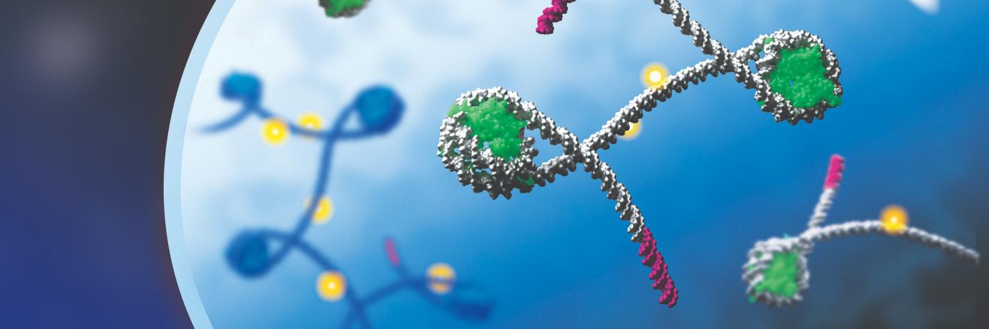 Laura Landweber banner