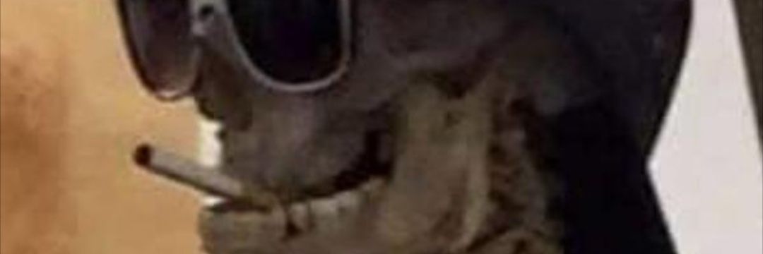 eversadjuice's profile banner image