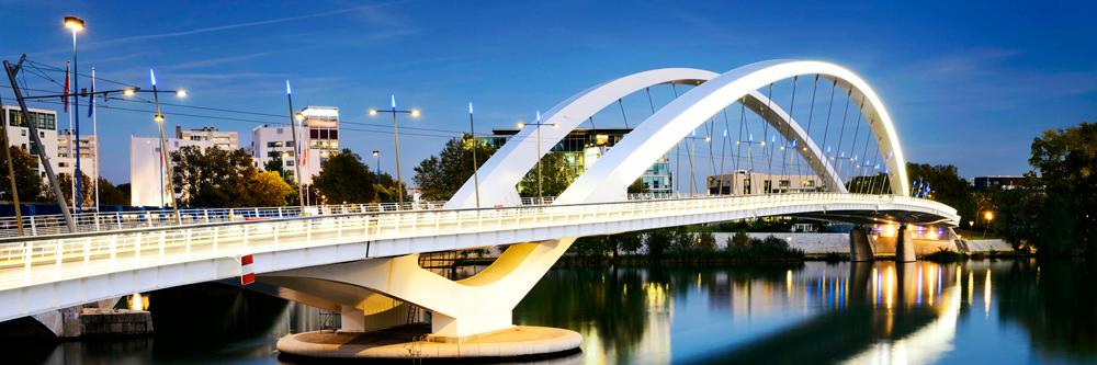 Lyon Business banner