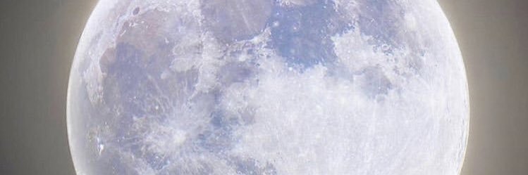 lorde banner