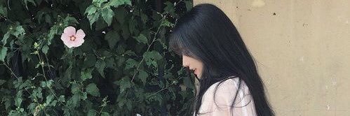 𝗜𝗥𝗜𝗦✨ ไม่ตอบ=เรียน banner