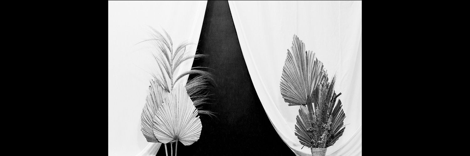 tommyhawk04's profile banner image