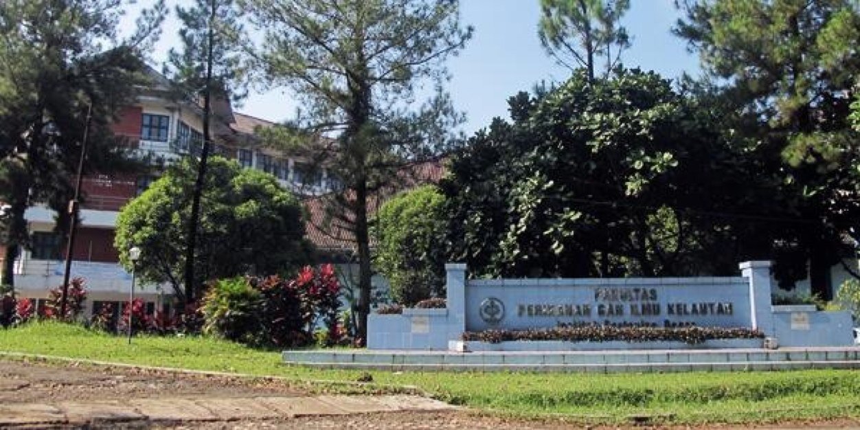 THP 49 banner