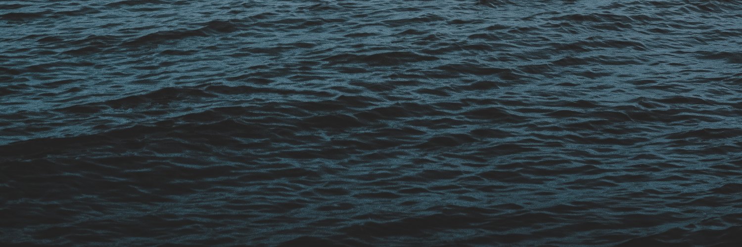 bilnsky's profile banner image