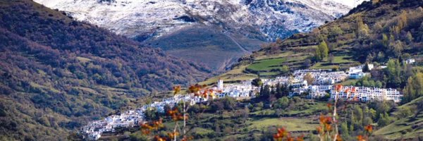 Estevez_Fer Profile Banner