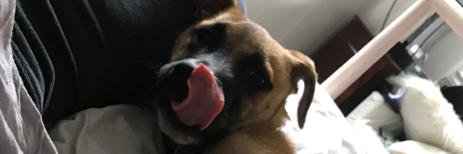 jessalorr's profile banner image