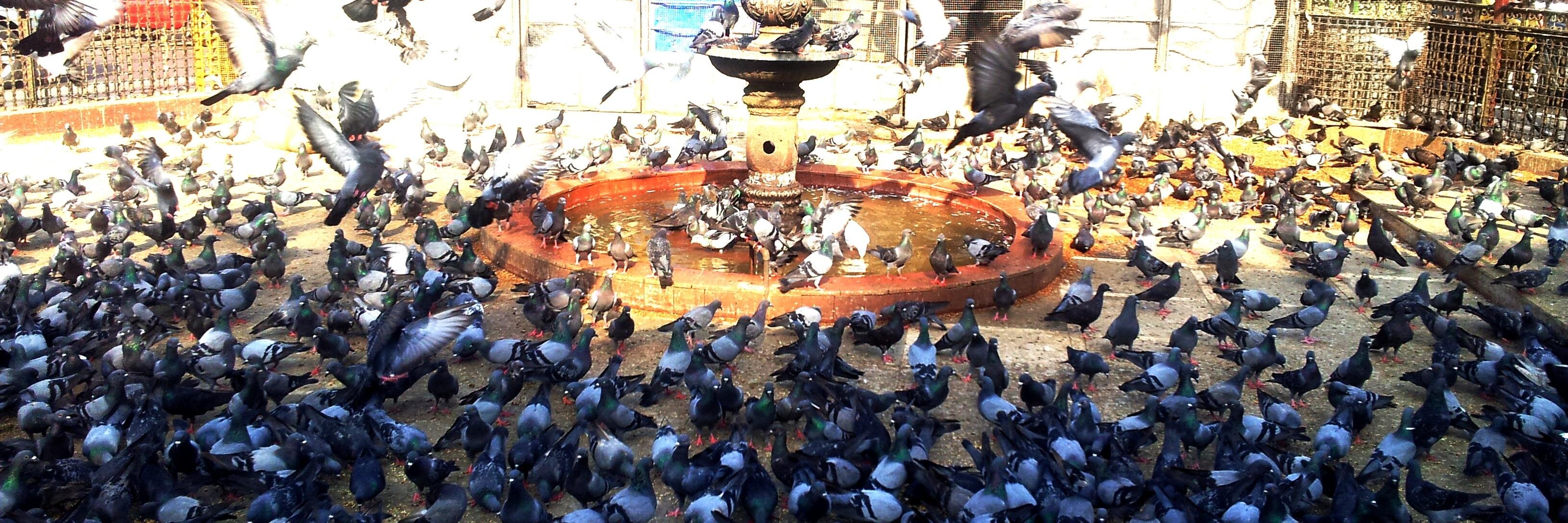 rushikesh_sa's profile banner image