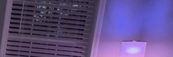 ʜᴏᴍᴍᴇ ʙᴏᴅʏ.'s banner