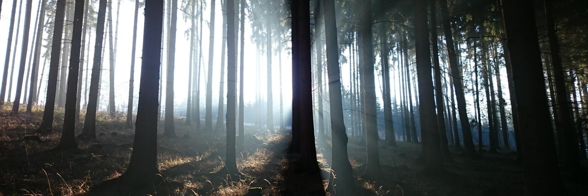 jeledeke's profile banner image