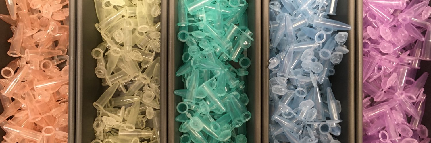 Matthew Ryan King banner