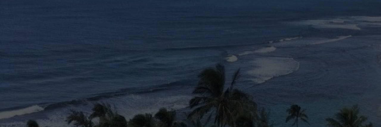 btf𓆦𓆦 banner