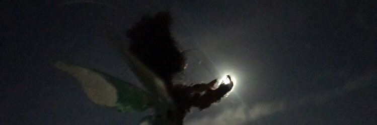 Reisaez's profile banner image