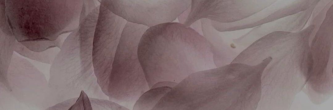 ❤︎₊ ⊹Luna banner