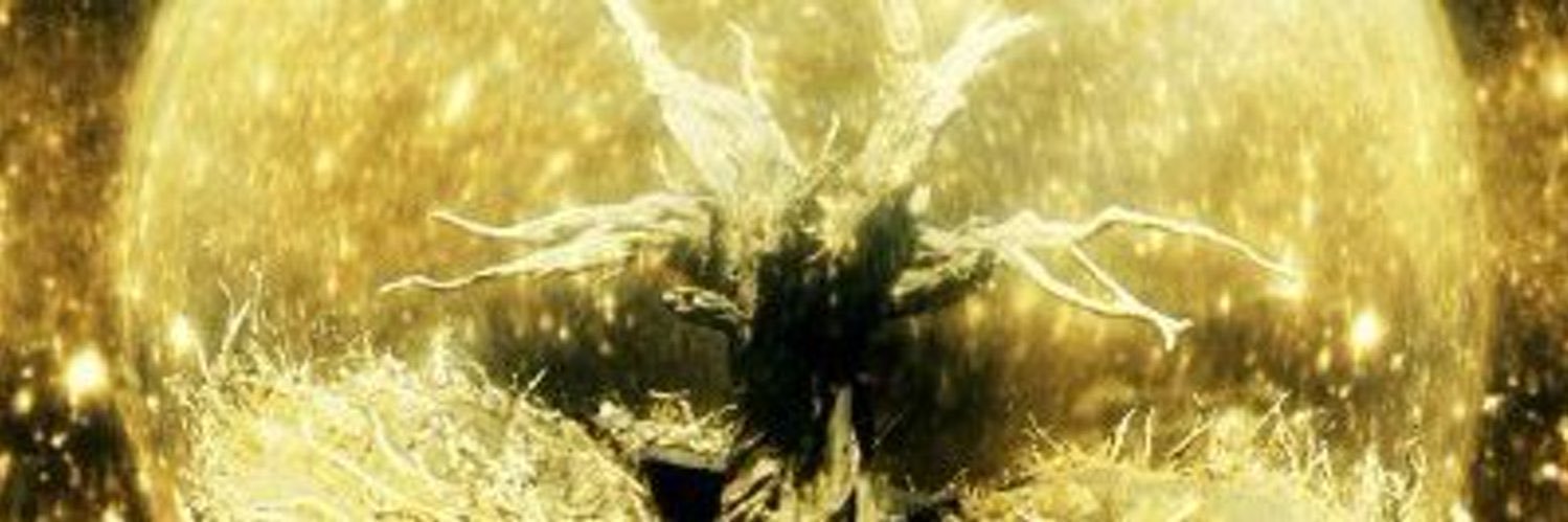 MDKbttx's profile banner image