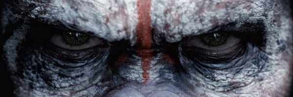 JayWill730 Profile Banner