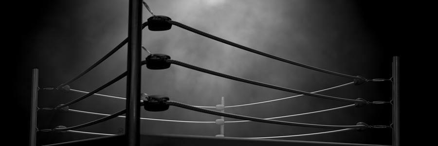 🥊Ted 'Wildcat' Grant 🥊 -Parody- banner