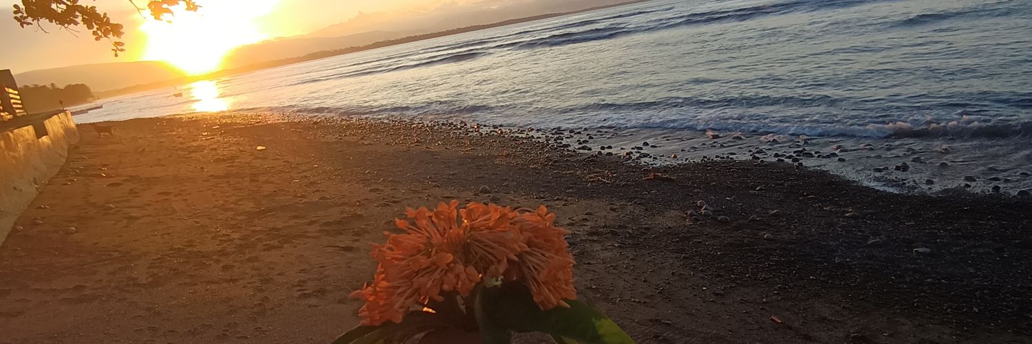 chixxx📌 banner