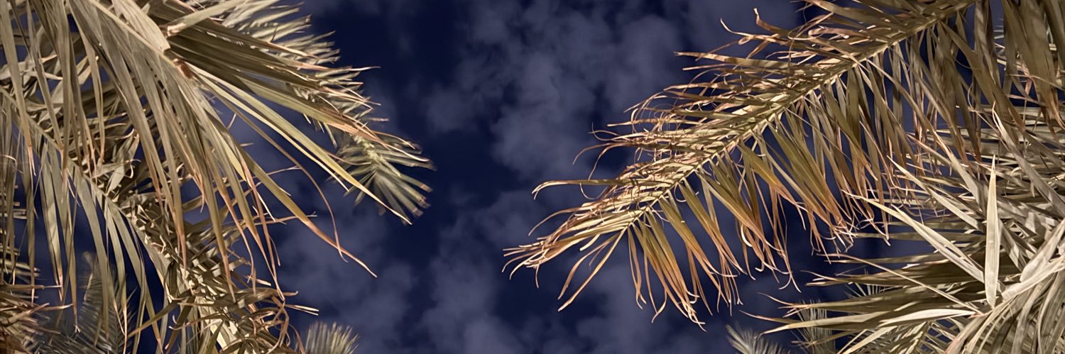 ابو لورا banner