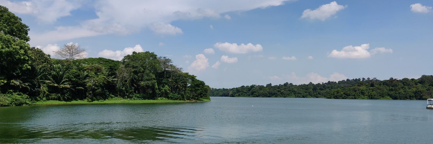 ssjunnarkar's profile banner image