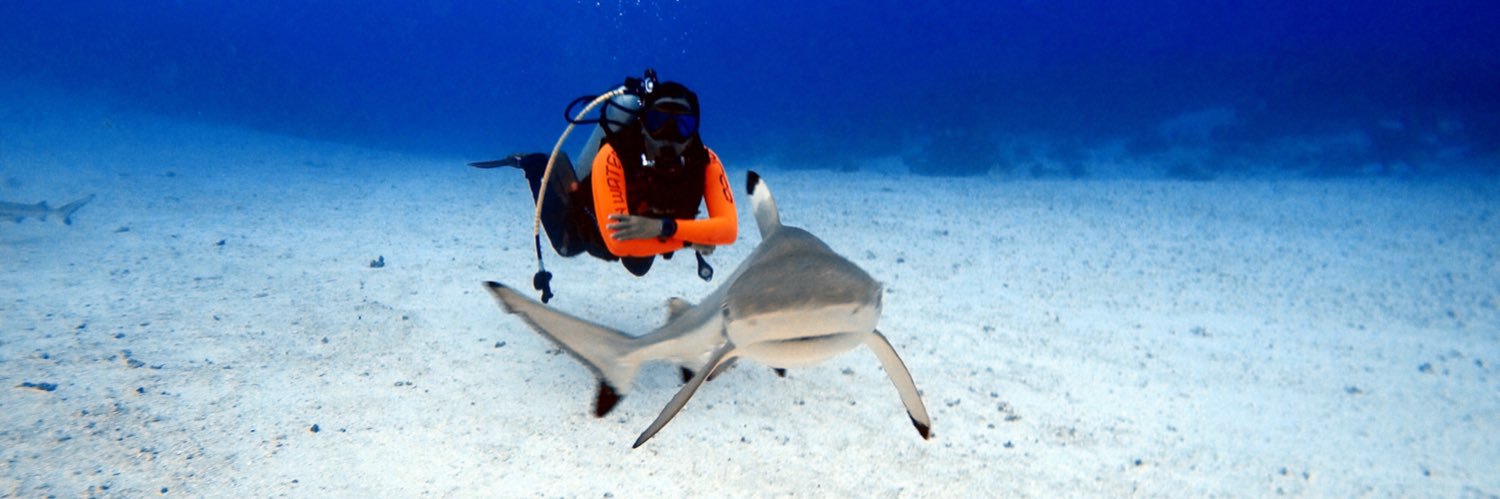 Paramiswari🐛 banner