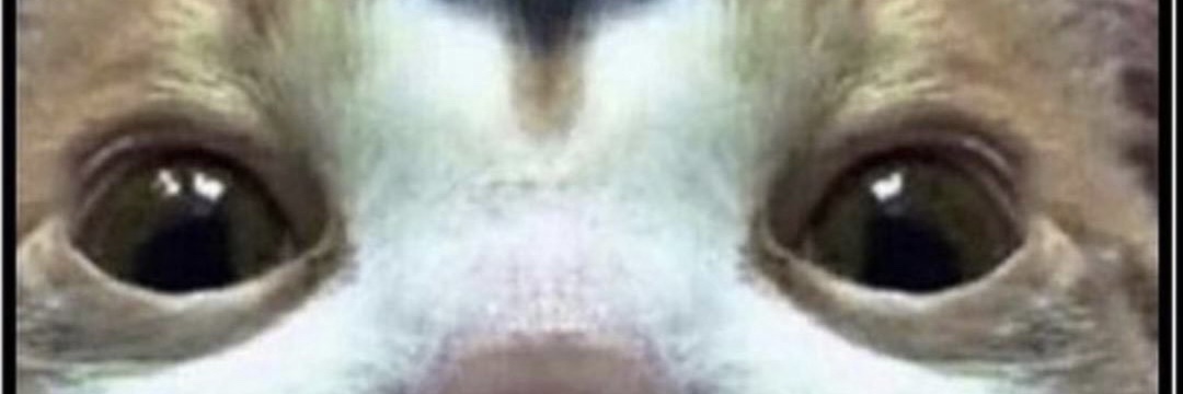 Spectralblades's profile banner image