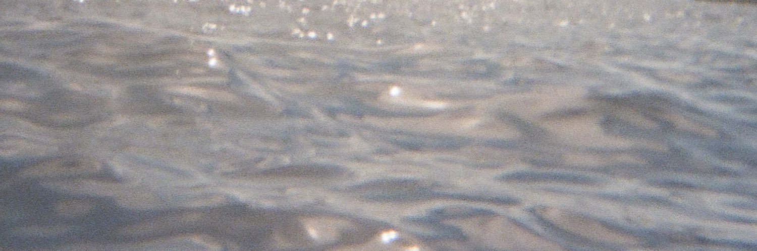 saraenany's profile banner image