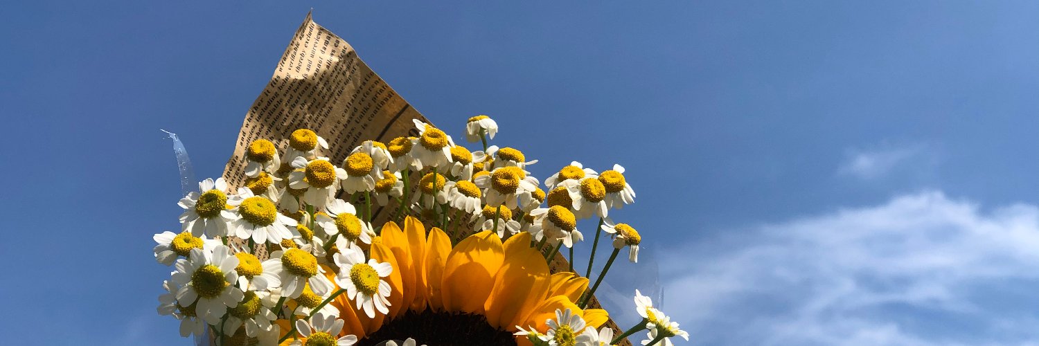 enknn1's profile banner image