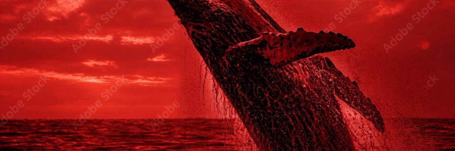 whaley_52hz's profile banner image