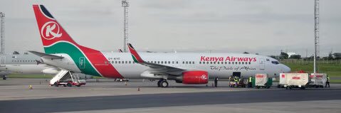 King Darius• - NOVA Tribe banner