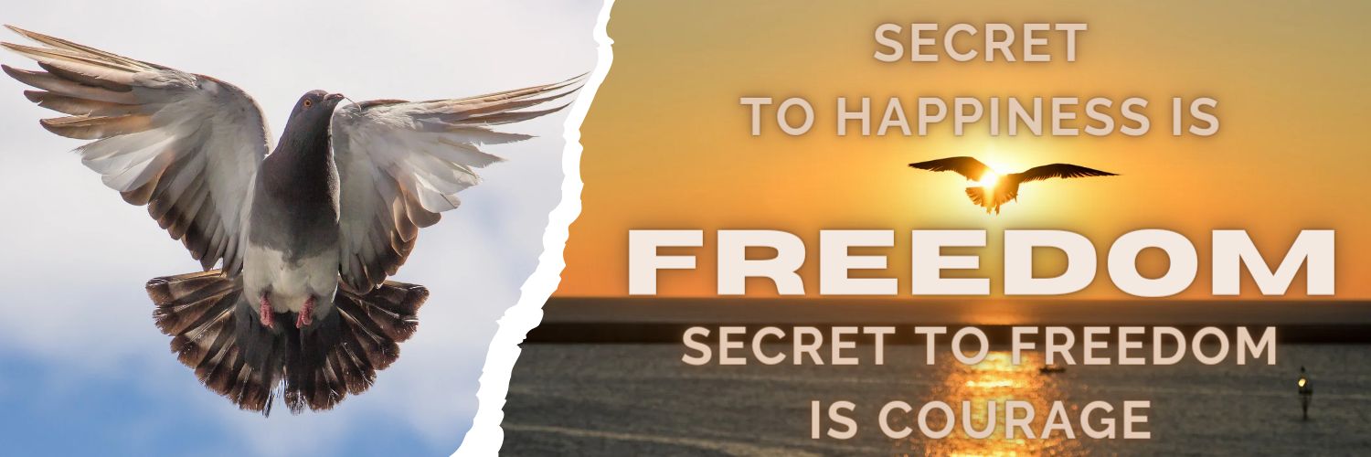 Dark Pigeon banner