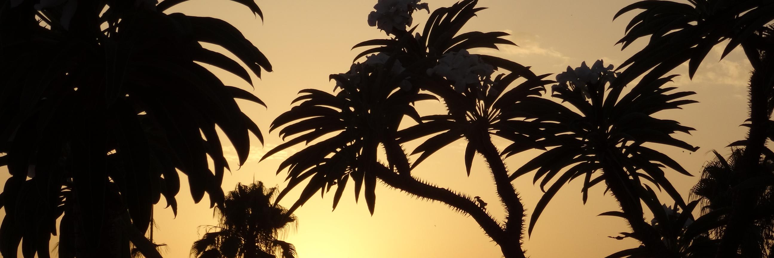 Paco_Raudry's profile banner image