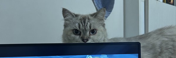 tolouiene Profile Banner