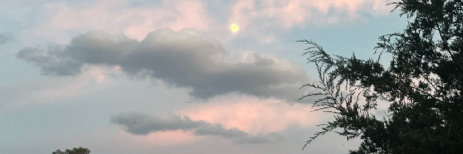 jdaneyoung's profile banner image