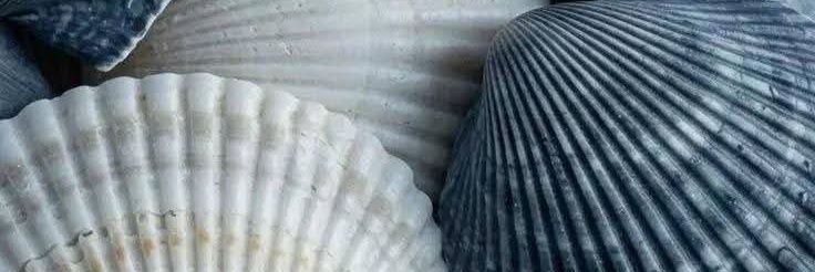 2B1MB1M's profile banner image
