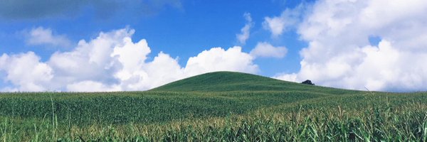 omgnat_s Profile Banner