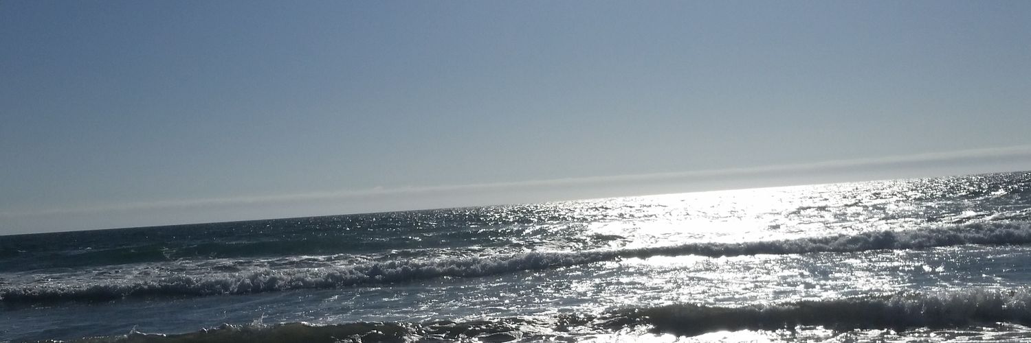 and82sal's profile banner image
