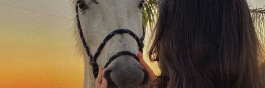 angel_e66's profile banner image